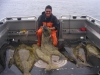 halibut fishing charters alaska