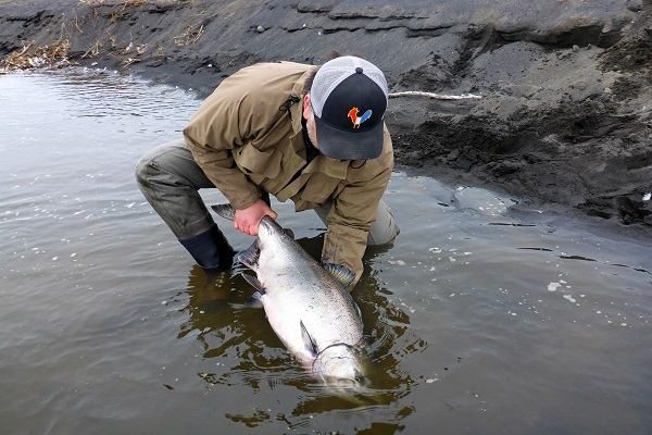 Alaska Peninsula Fly King Salmon