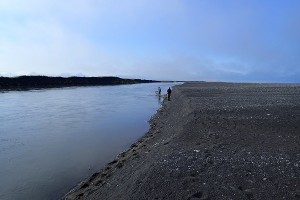 Alaska King Fishing