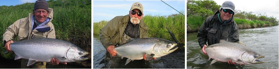 Alaska King Salmon