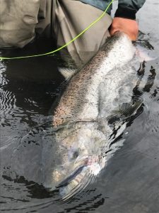 Alaska Peninsula King Fishing