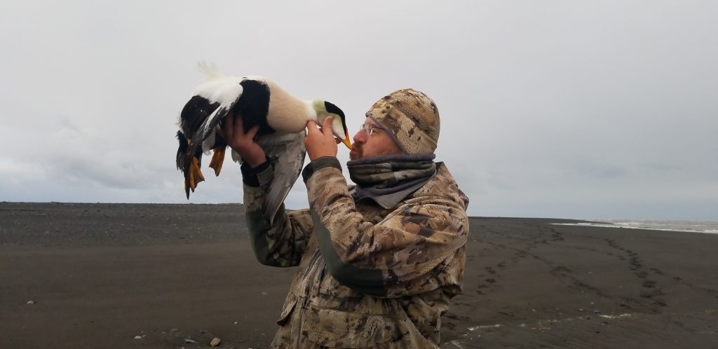 Alaska duck hunting