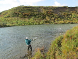 Alaska Peninsula Fly Fishing