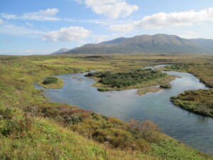 Alaska Peninsula Fly Fishing