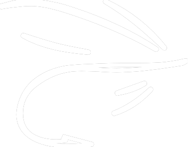 Abstract white line art resembling a bird in flight