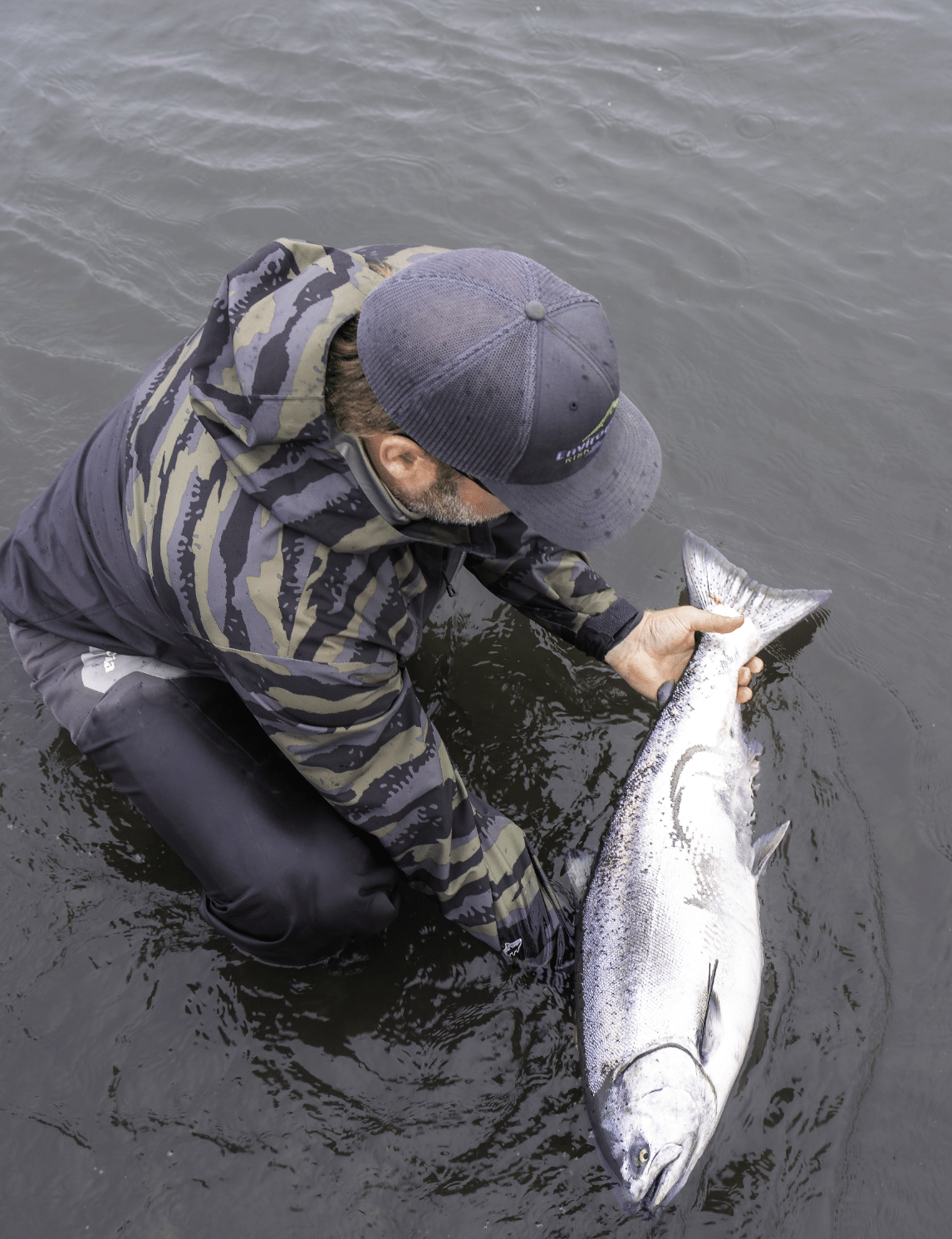 Angler releasing silver salmon back into Alaska river