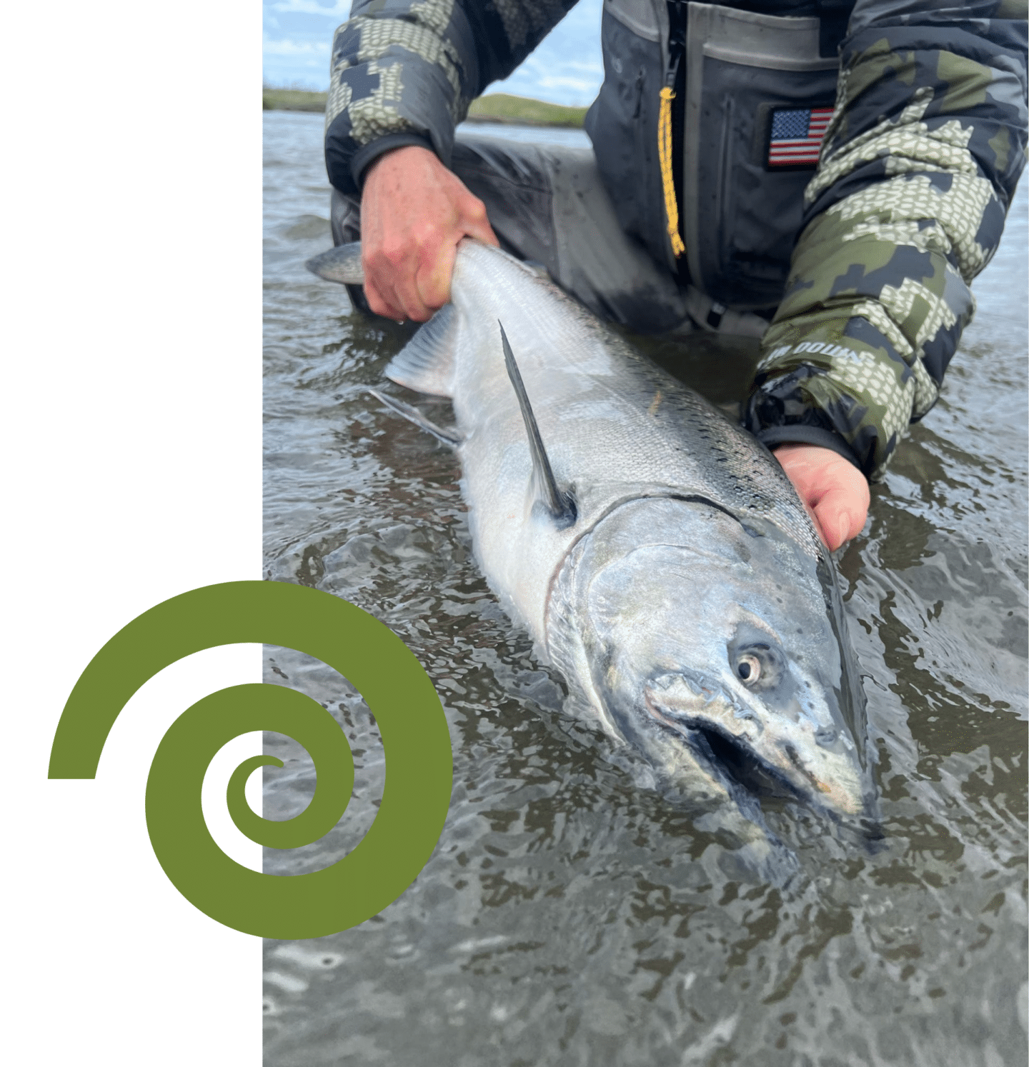 Angler holding large silver salmon in Alaska river