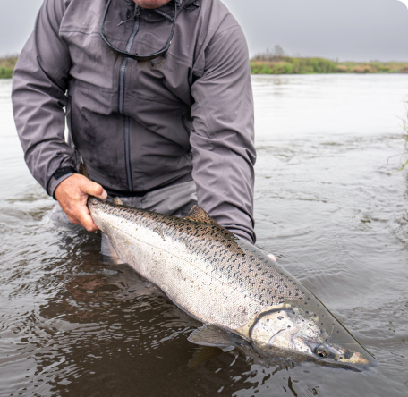 Angler kneels in the river holding a large salmon just above the water’s surface