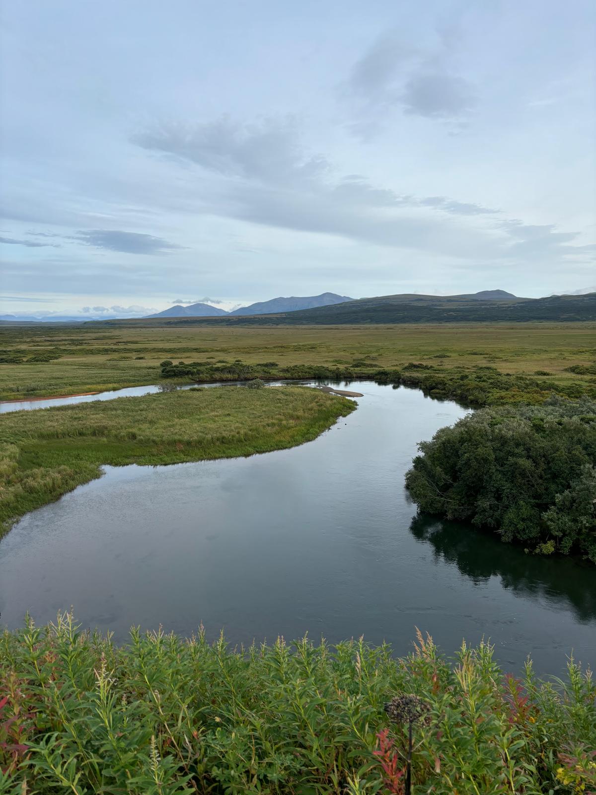 Photo Aug 08 2025, 4 13 42 PM (33) (1)