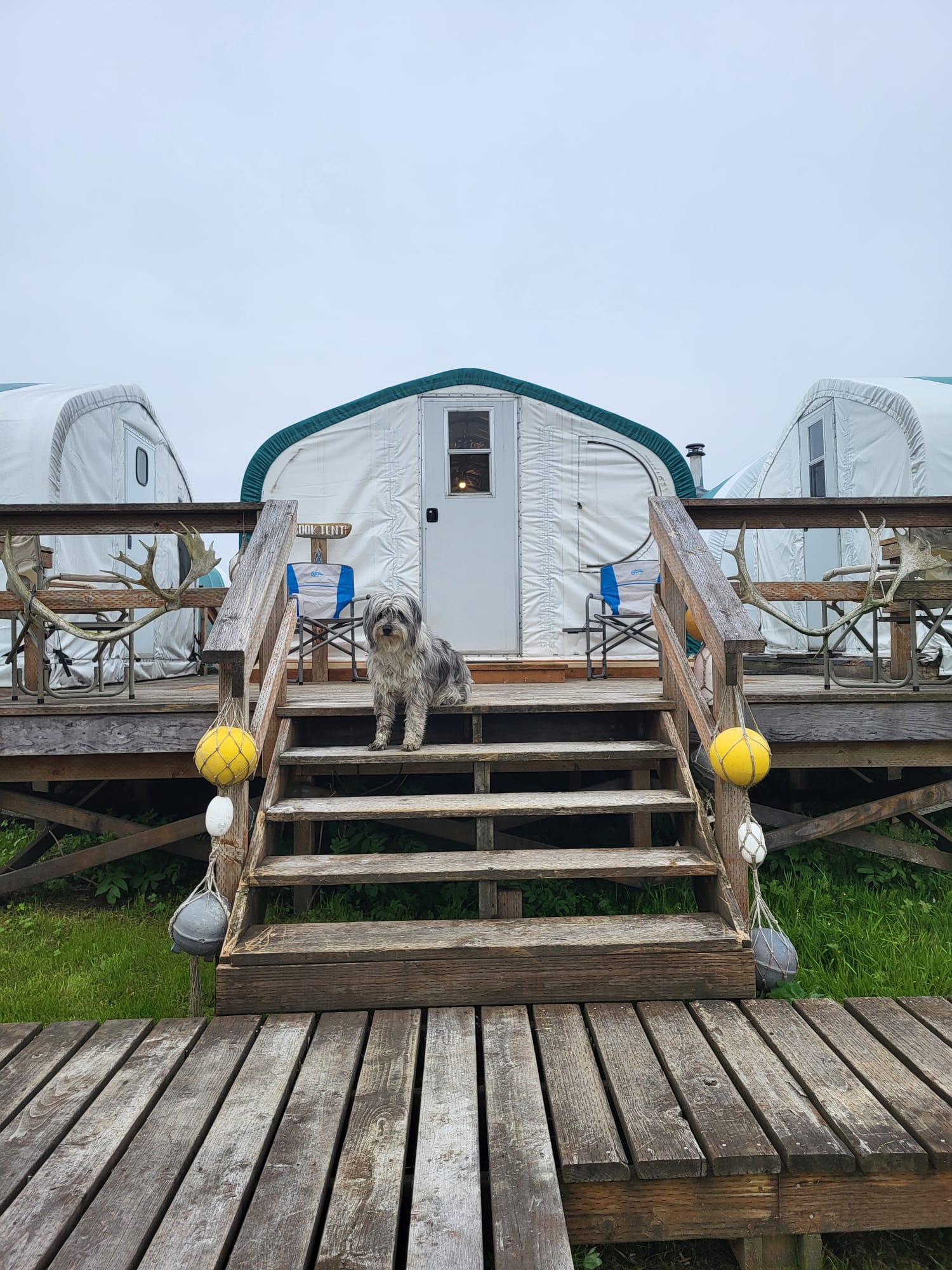 Photo Jun 19 2025, 2 56 17 PM