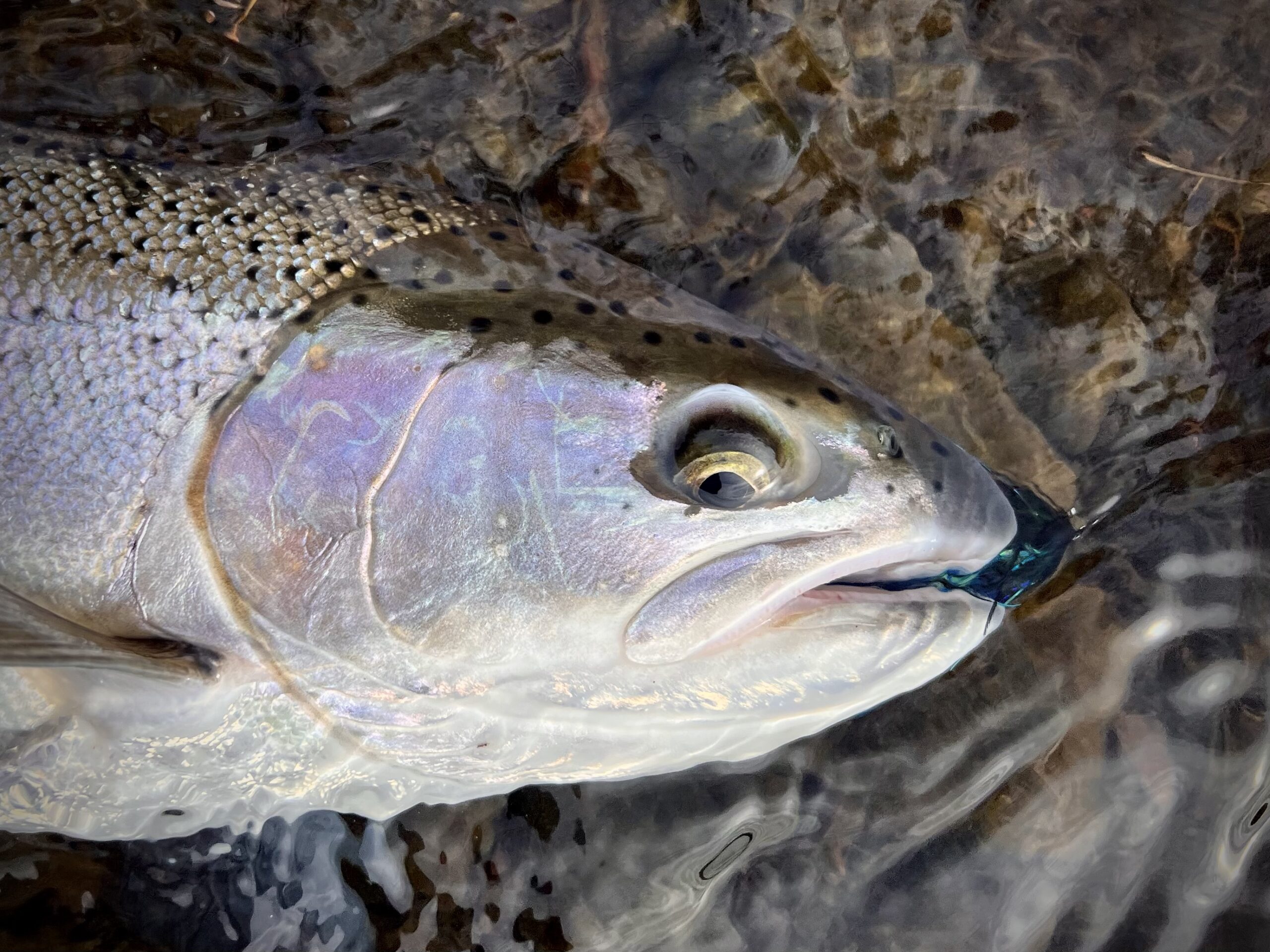 Photo Oct 02 2024, 2 32 25 PM