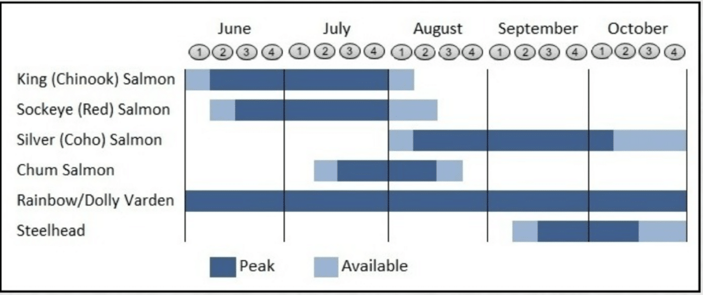 Alaska fishing season chart for king, sockeye, coho, chum, trout, and steelhead