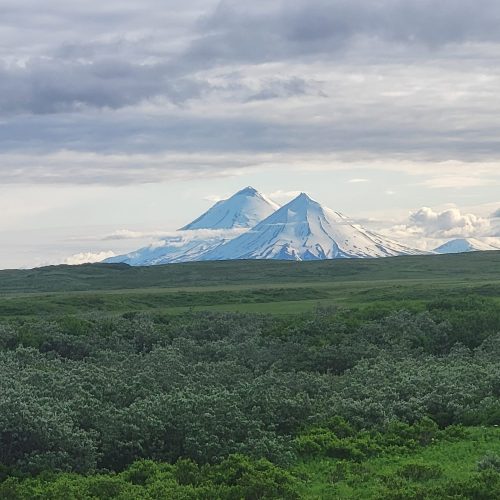 Photo Aug 08 2025, 4 13 42 PM (14)