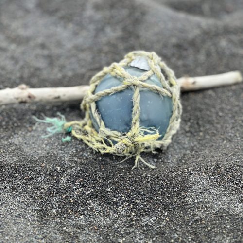 Photo Jun 08 2023, 10 20 10 AM