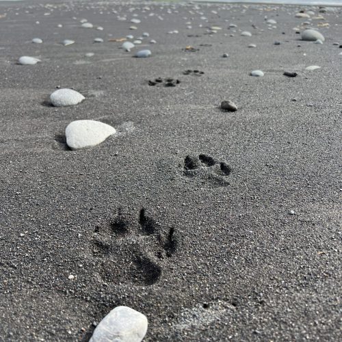 Photo Jun 08 2023, 10 49 07 AM